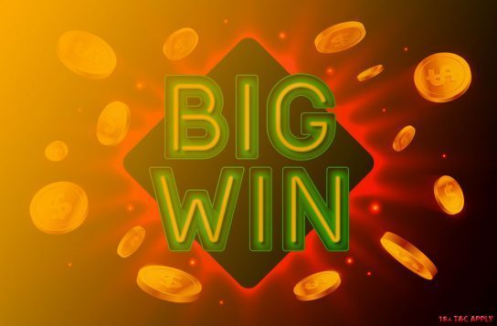 new bingo sites with free bonus
